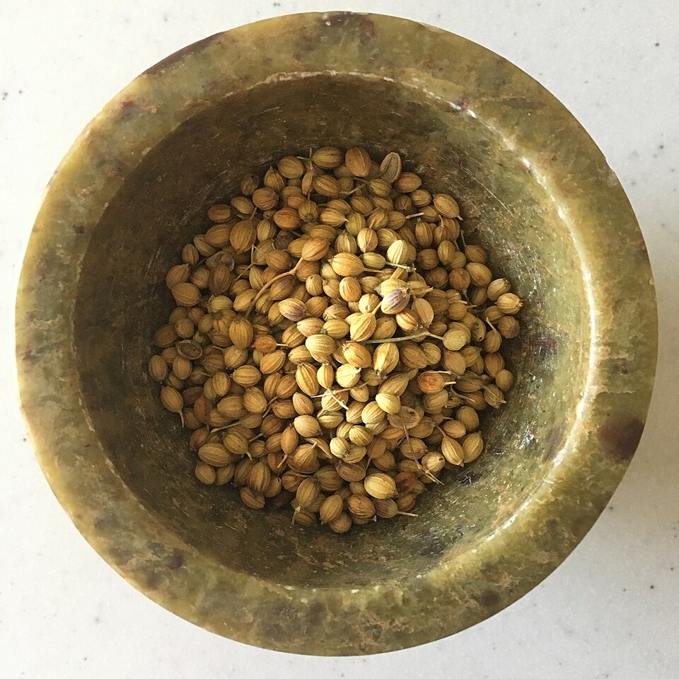 Coriander